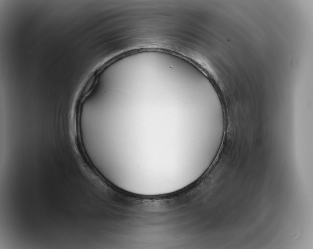 X0000089681080200707201655