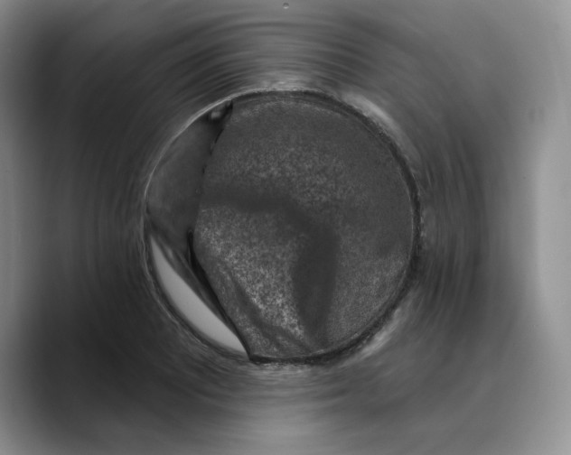 X0000089681081200707201655