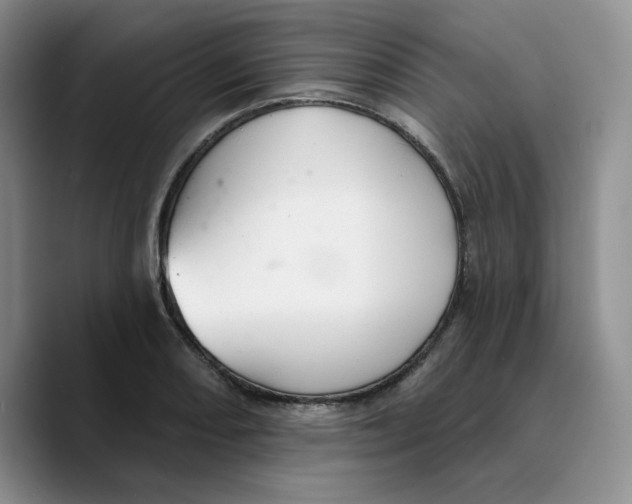 X0000089681082200707201655