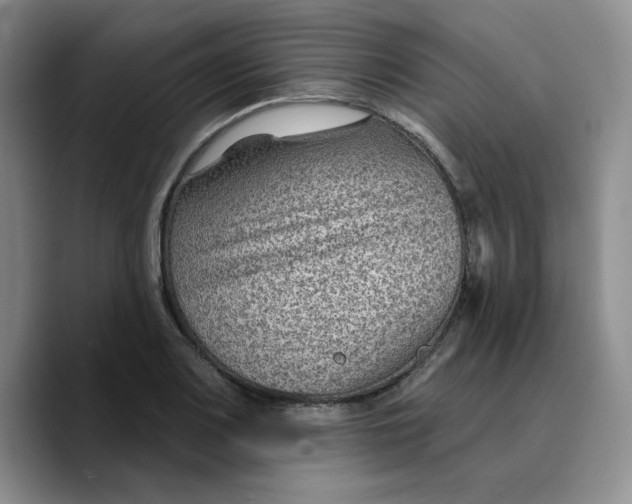 X0000089681083200707201655