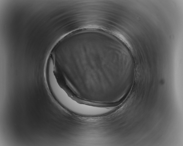 X0000089681084200707201655