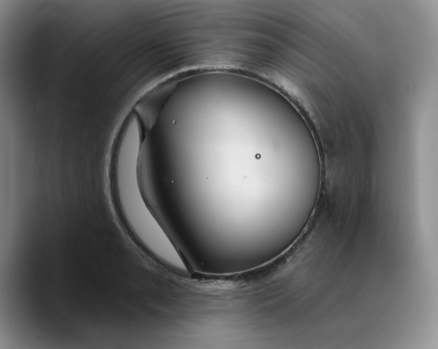 X0000089681085200707201655