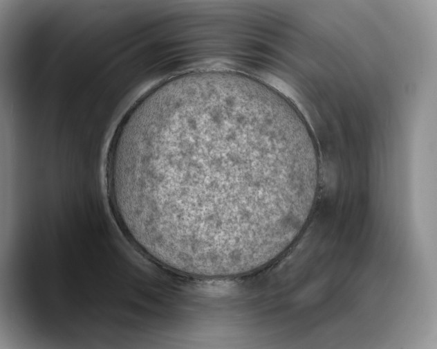 X0000089681090200707201655