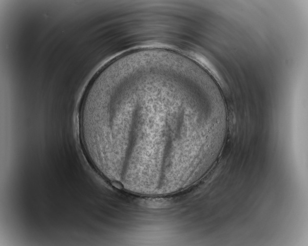 X0000089681092200707201655