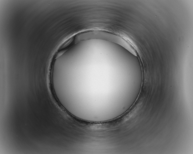 X0000089681093200707201655