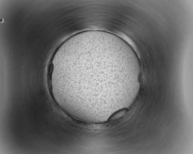 X0000089681096200707201655