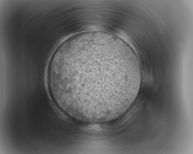 X0000089681098200707201655