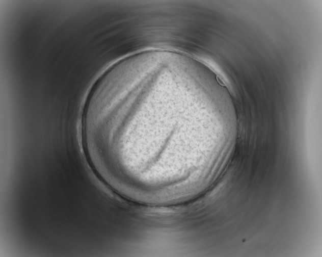X0000089681100200707201655
