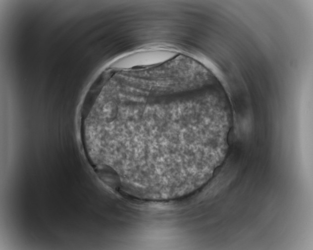 X0000089681102200707201655