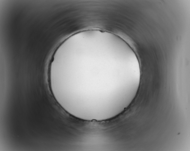 X0000089681104200707201655