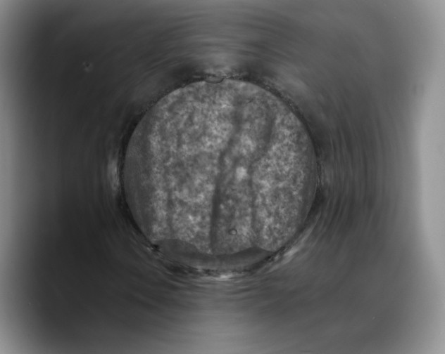 X0000089681106200707201654