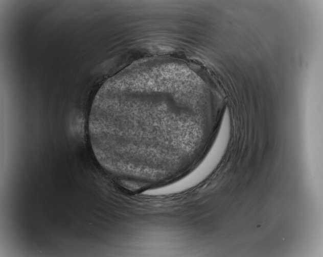 X0000089681108200707201654