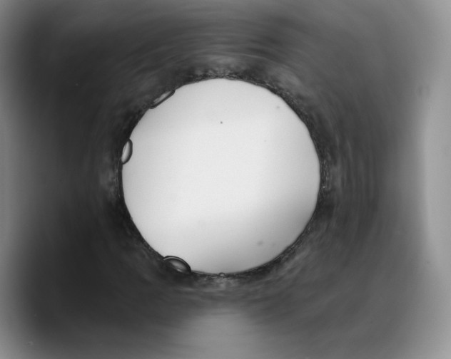 X0000089681109200707201654