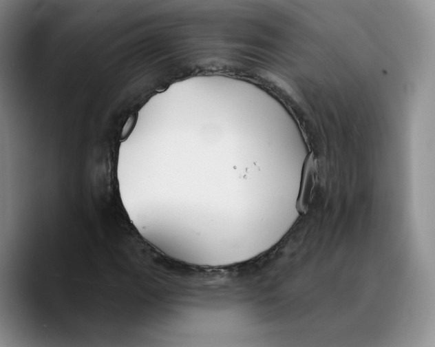 X0000089681111200707201654