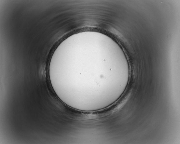 X0000089681113200707201654