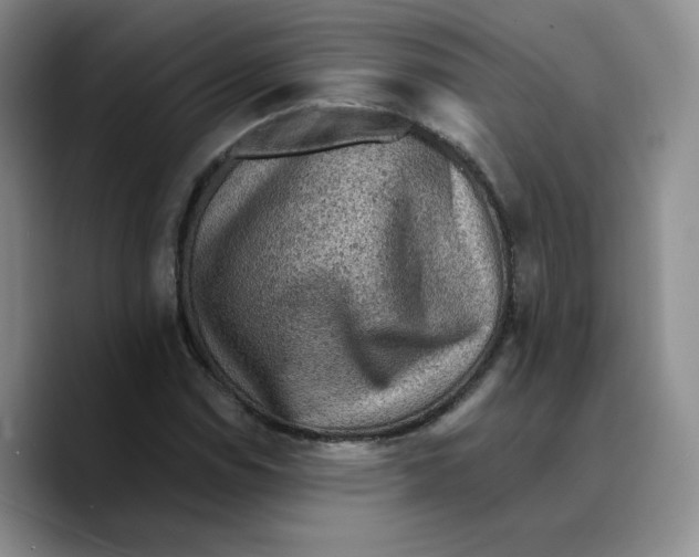 X0000089681114200707201654