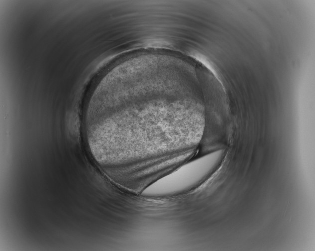 X0000089681115200707201654