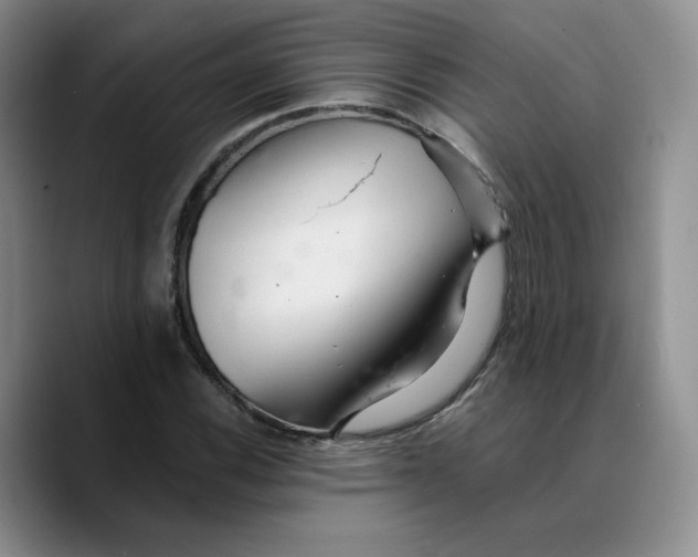 X0000089681116200707201654