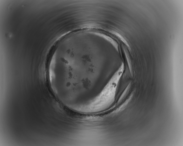 X0000089681117200707201654