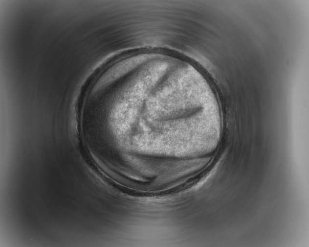 X0000089681118200707201654