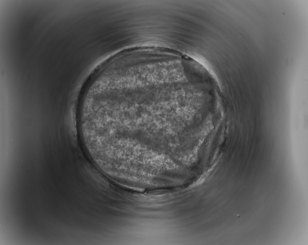 X0000089681120200707201654