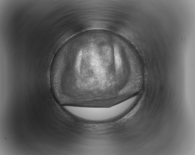 X0000089681121200707201654