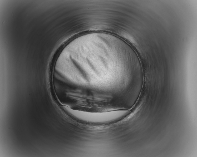 X0000089681122200707201654