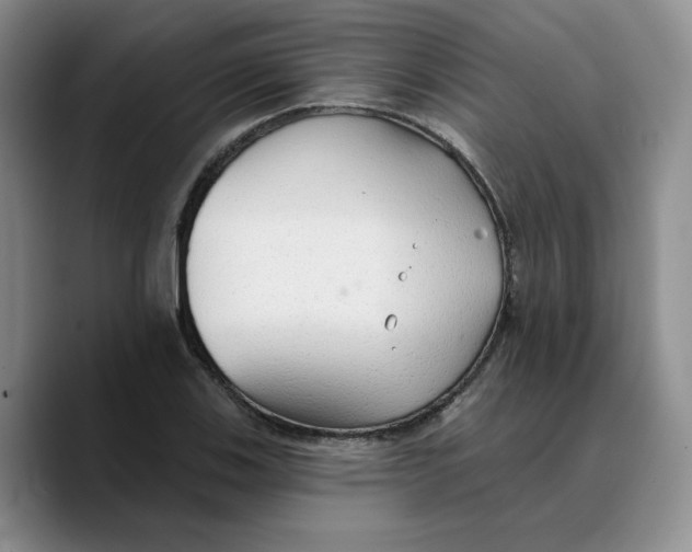 X0000089681123200707201654