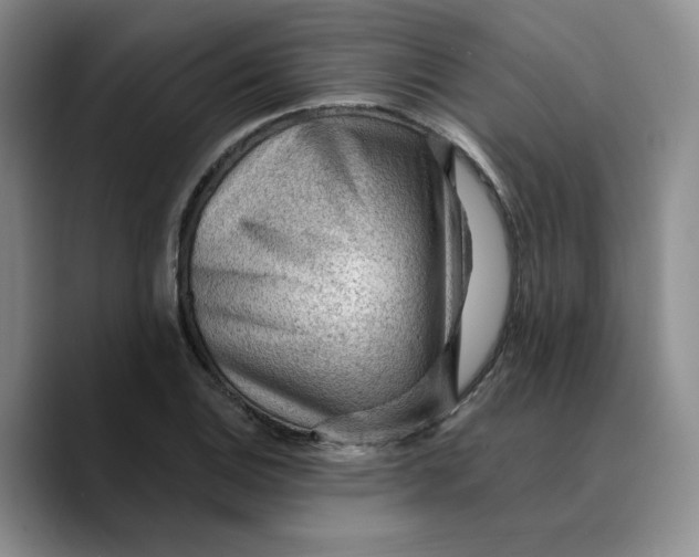 X0000089681124200707201654
