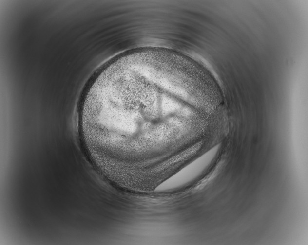 X0000089681125200707201654