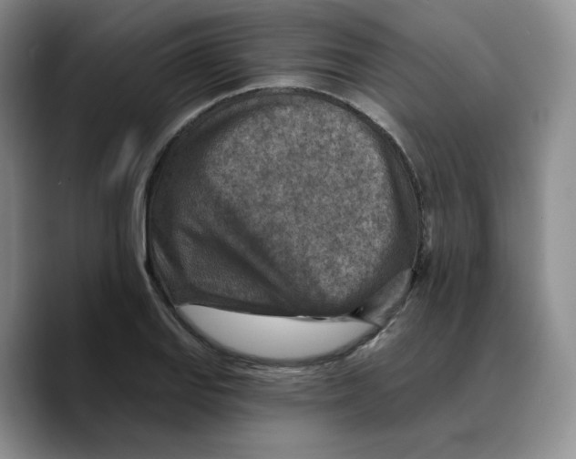 X0000089681127200707201654