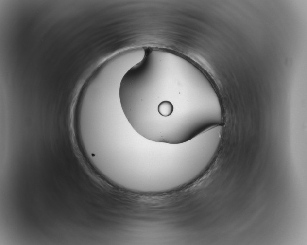 X0000089681128200707201654