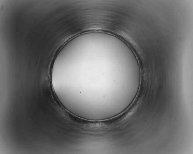 X0000089681129200707201654