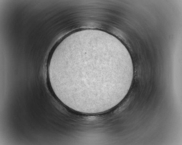X0000089681130200707201654