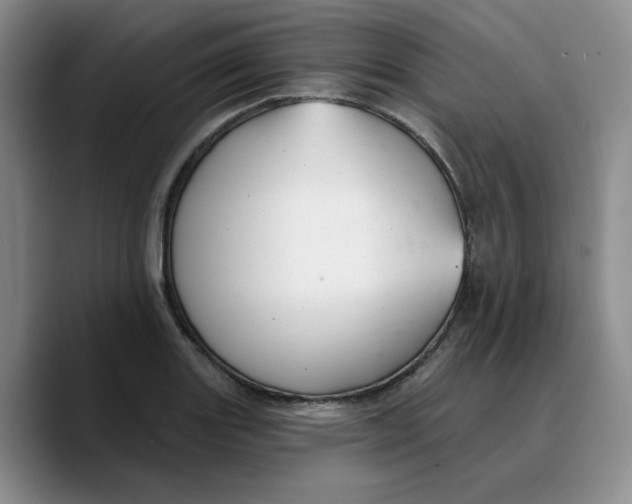 X0000089681131200707201654
