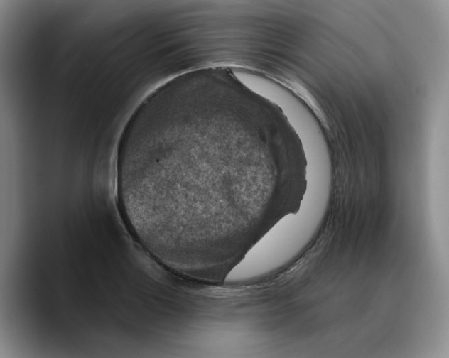X0000089681132200707201654
