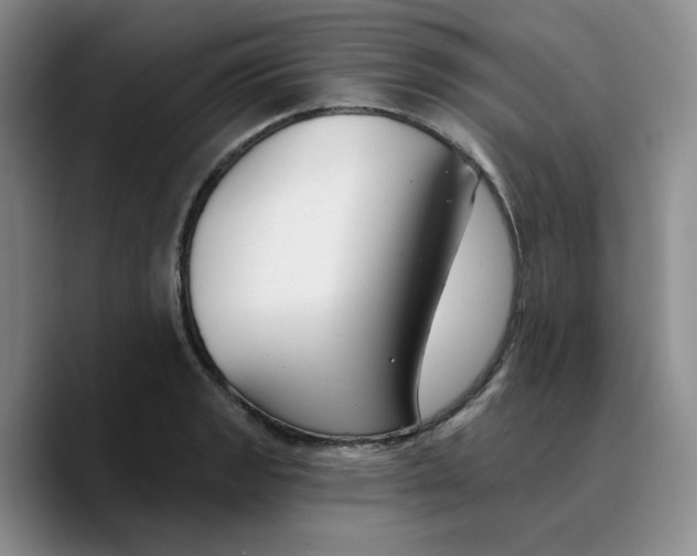 X0000089681133200707201654