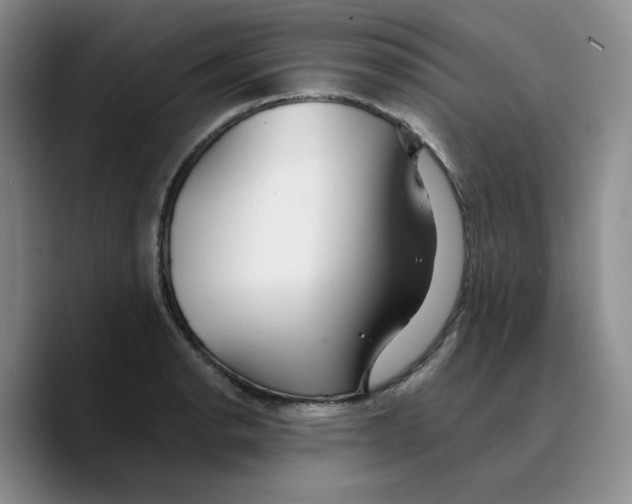 X0000089681134200707201654