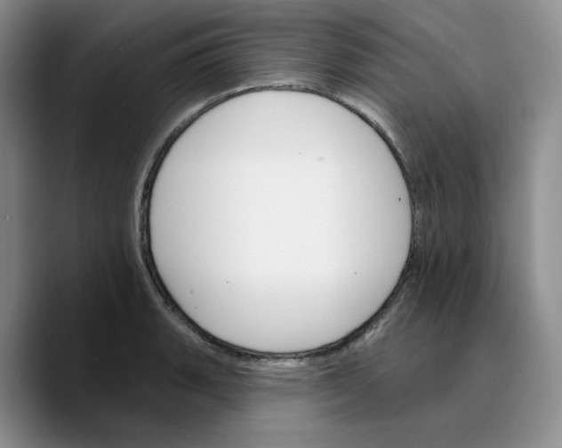 X0000089681135200707201654