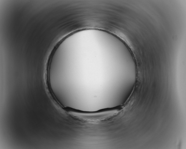X0000089681136200707201654