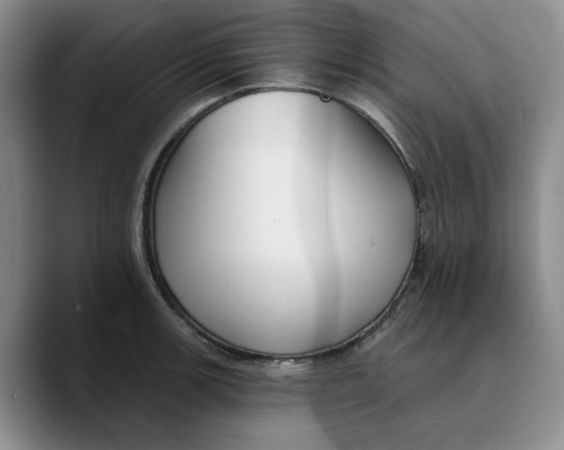 X0000089681139200707201654