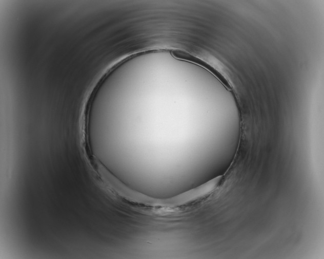 X0000089681140200707201654