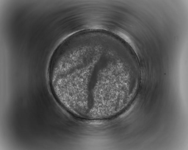 X0000089681141200707201654