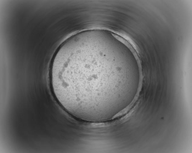 X0000089681142200707201654