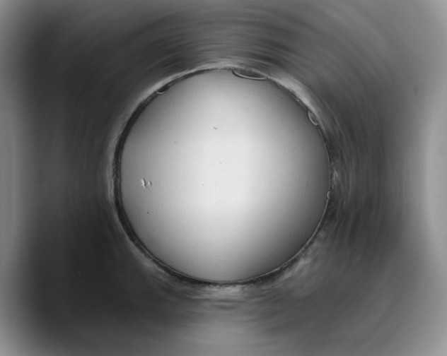 X0000089681143200707201654