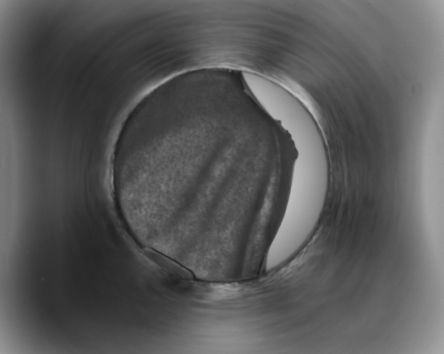 X0000089681144200707201654