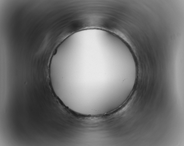 X0000089681145200707201655