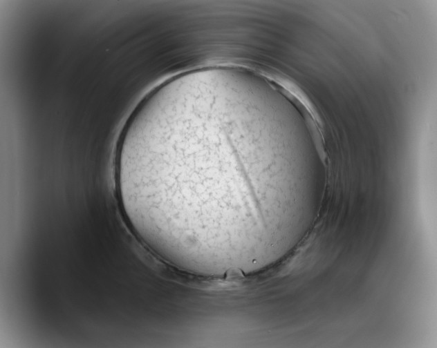 X0000089681148200707201655