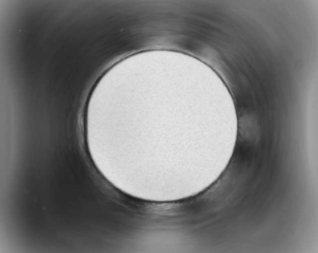 X0000089681150200707201655