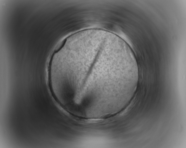 X0000089681151200707201655